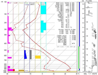 Skew-T diagram